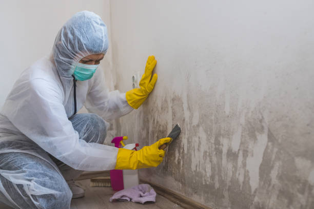 Best Local Mold Removal Service  in Oskaloosa, KS