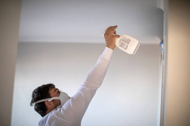Best Office Mold Removal Services  in Oskaloosa, KS